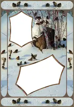 照片效果分类 冬 № 151645 照片效果分类 冬 № 151645