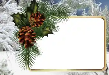 照片效果分类 冬 № 34794