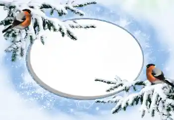 照片效果分类 冬 № 42676