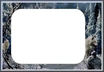照片效果分类 冬 № 60435