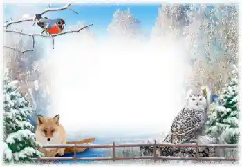 照片效果分类 冬 № 67043