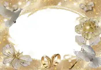 照片效果分类 婚纱照边框 № 105361 照片效果分类 婚纱照边框 № 105361