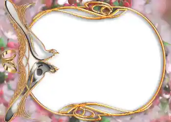 照片效果分类 婚纱照边框 № 105