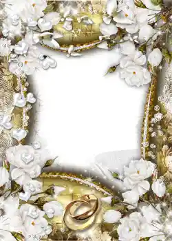 照片效果分类 婚纱照边框 № 1066 照片效果分类 婚纱照边框 № 1066