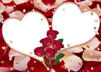 照片效果分类 婚纱照边框 № 106