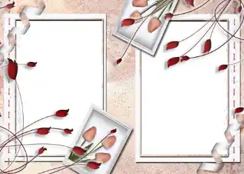 照片效果分类 婚纱照边框 № 107