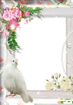 照片效果分类 婚纱照边框 № 113119 照片效果分类 婚纱照边框 № 113119