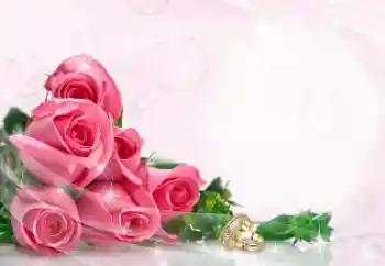 照片效果分类 婚纱照边框 № 114402 照片效果分类 婚纱照边框 № 114402