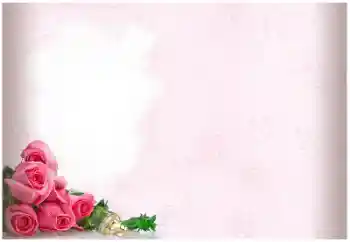 照片效果分类 婚纱照边框 № 114403 照片效果分类 婚纱照边框 № 114403