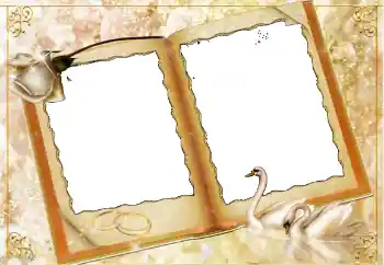 照片效果分类 婚纱照边框 № 114451 照片效果分类 婚纱照边框 № 114451