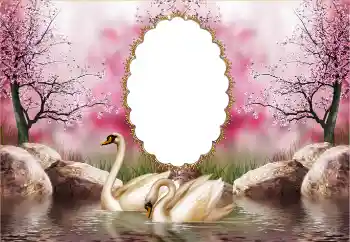 照片效果分类 婚纱照边框 № 121126 照片效果分类 婚纱照边框 № 121126