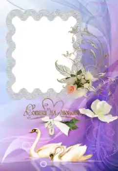 边框标语: 我们的婚礼 边框标语: 我们的婚礼