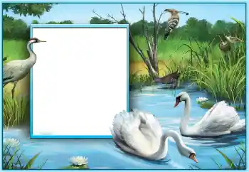 照片效果分类 婚纱照边框 № 124253 照片效果分类 婚纱照边框 № 124253