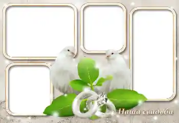 边框标语: 我们的婚礼 边框标语: 我们的婚礼