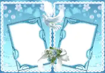 照片效果分类 婚纱照边框 № 128675