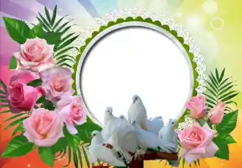 照片效果分类 婚纱照边框 № 130157