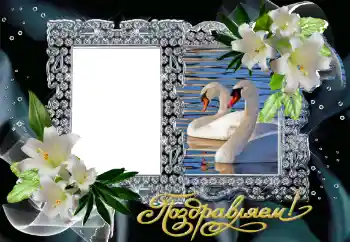 边框标语: 恭喜你！