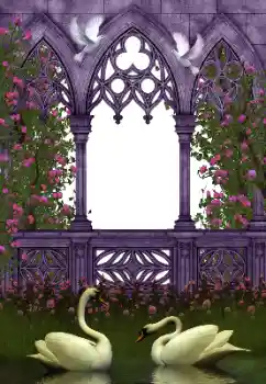 照片效果分类 婚纱照边框 № 130281