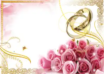 照片效果分类 婚纱照边框 № 137