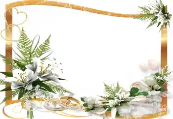 照片效果分类 婚纱照边框 № 139865 照片效果分类 婚纱照边框 № 139865