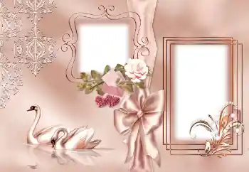 照片效果分类 婚纱照边框 № 143501 照片效果分类 婚纱照边框 № 143501