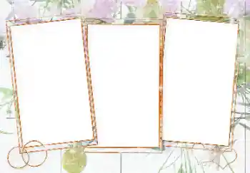 照片效果分类 婚纱照边框 № 143679 照片效果分类 婚纱照边框 № 143679