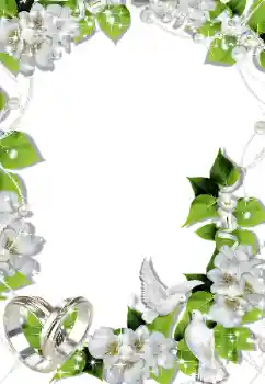 照片效果分类 婚纱照边框 № 145090