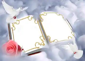 照片效果分类 婚纱照边框 № 146