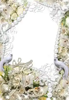 照片效果分类 婚纱照边框 № 1491 照片效果分类 婚纱照边框 № 1491