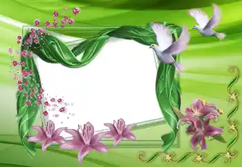 照片效果分类 婚纱照边框 № 150515