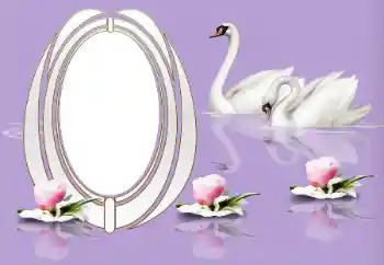 照片效果分类 婚纱照边框 № 153161 照片效果分类 婚纱照边框 № 153161