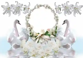 照片效果分类 婚纱照边框 № 154586 照片效果分类 婚纱照边框 № 154586