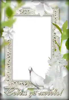 边框标语: 我们的婚礼 边框标语: 我们的婚礼