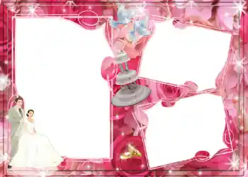 照片效果分类 婚纱照边框 № 156
