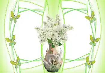 照片效果分类 婚纱照边框 № 157103