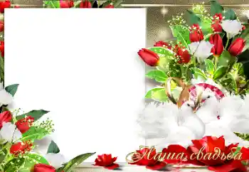 边框标语: 我们的婚礼