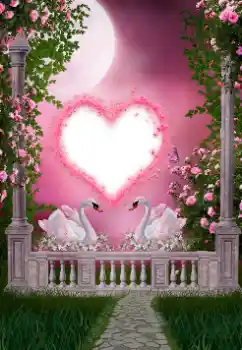 照片效果分类 婚纱照边框 № 157127