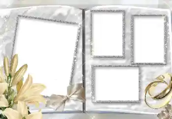 照片效果分类 婚纱照边框 № 157150