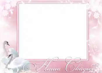 边框标语: 我们的婚礼 边框标语: 我们的婚礼