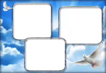 照片效果分类 婚纱照边框 № 160852