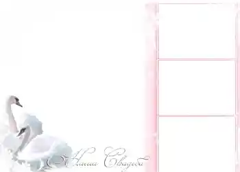 边框标语: 我们的婚礼 边框标语: 我们的婚礼