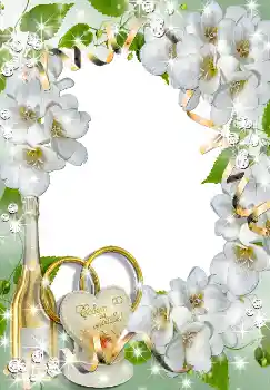 照片效果分类 婚纱照边框 № 1633 照片效果分类 婚纱照边框 № 1633