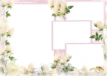 边框标语: 我们的婚礼 边框标语: 我们的婚礼