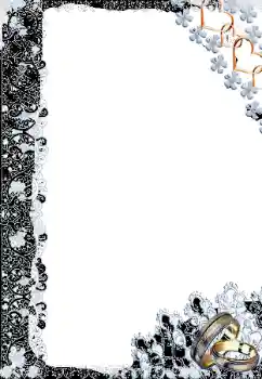 照片效果分类 婚纱照边框 № 166341