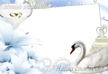 边框标语: 我们的婚礼