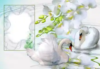 照片效果分类 婚纱照边框 № 166673