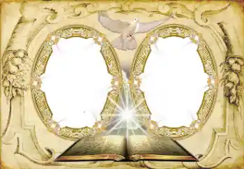 照片效果分类 婚纱照边框 № 167743