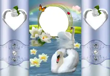 照片效果分类 婚纱照边框 № 167887