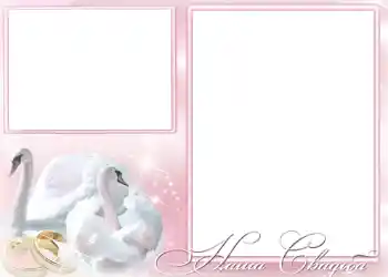 边框标语: 我们的婚礼 边框标语: 我们的婚礼