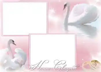 边框标语: 我们的婚礼 边框标语: 我们的婚礼